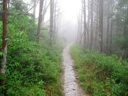 thumbnail of "Foggy Alum Cave Trail - 10"