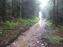 thumbnail of "Foggy Alum Cave Trail - 16"