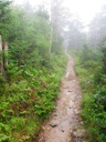 thumbnail of "Foggy Alum Cave Trail - 17"