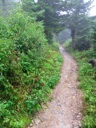 thumbnail of "Foggy Alum Cave Trail - 18"