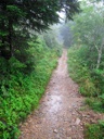thumbnail of "Foggy Alum Cave Trail - 19"