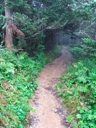 thumbnail of "Foggy Alum Cave Trail - 21"