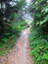 thumbnail of "Foggy Alum Cave Trail - 25"