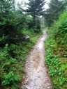 thumbnail of "Foggy Alum Cave Trail - 27"