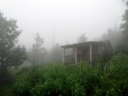 thumbnail of "Foggy Cabin"