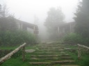 thumbnail of "Foggy Steps To LeConte Lodge - 1"