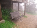 thumbnail of "Foggy Swing"