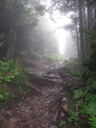 thumbnail of "Foggy Trail Back From Myrtle Point - 1"
