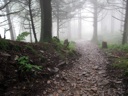 thumbnail of "Foggy Trail Back From Myrtle Point - 3"