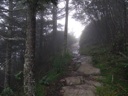 thumbnail of "Foggy Trail To Cliff Top"