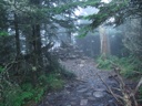 thumbnail of "LeConte Peak Rock Pile"