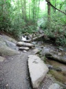 thumbnail of "Log Bridge Over Alum Cave Creek"