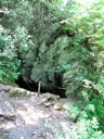 thumbnail of "Looking Down At Arch Rock"