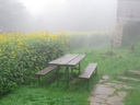 thumbnail of "Picnic Table"