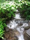 thumbnail of "Stream Below The Trail"