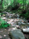 thumbnail of "Stream Off The Alum Cave Trail - 1"
