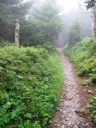 thumbnail of "Trail Back From Cliff Top - 1"