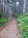 thumbnail of "Trail Back From Cliff Top - 2"