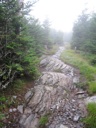 thumbnail of "Trail Back From Cliff Top - 4"