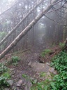 thumbnail of "Trail Back From Cliff Top - 6"