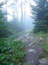 thumbnail of "Trail Back From Myrtle Point - 2"