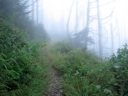 thumbnail of "Trail Back From Myrtle Point - 3"