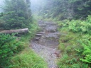 thumbnail of "Trail Back From Myrtle Point - 4"