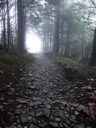 thumbnail of "Trail Back From Myrtle Point - 5"