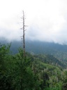 thumbnail of "View From Alum Cave Trail - 3"