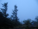 thumbnail of "View From Myrtle Point - 1"