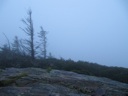thumbnail of "View From Myrtle Point - 2"