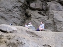 thumbnail of "Walkers At Alum Cave Bluffs - 1"