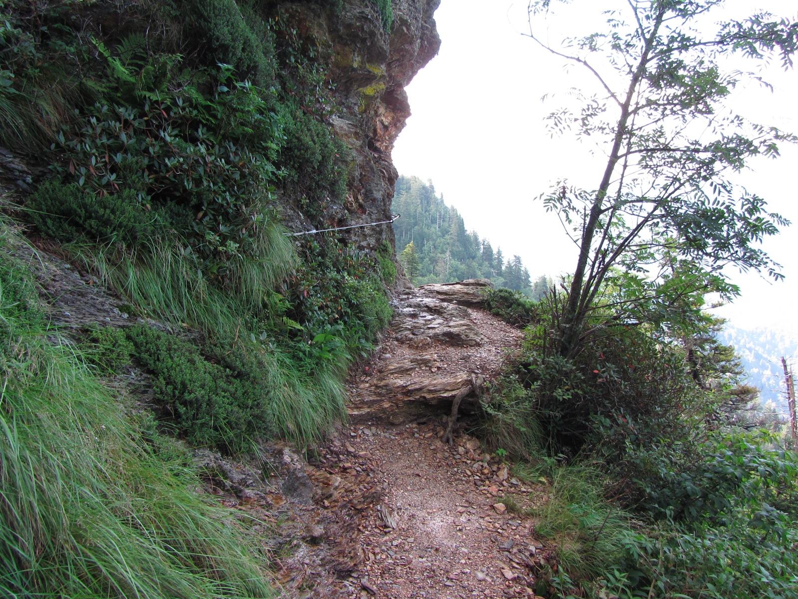 Alum Cave Trail - 2
