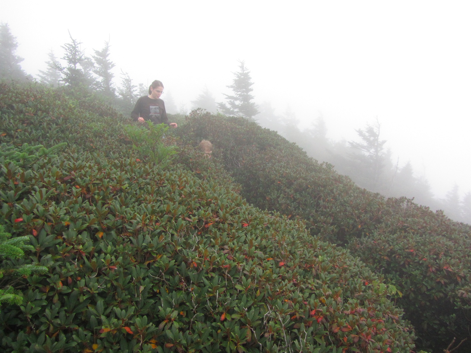 Beccy & Logan Explore Cliff Top - 1