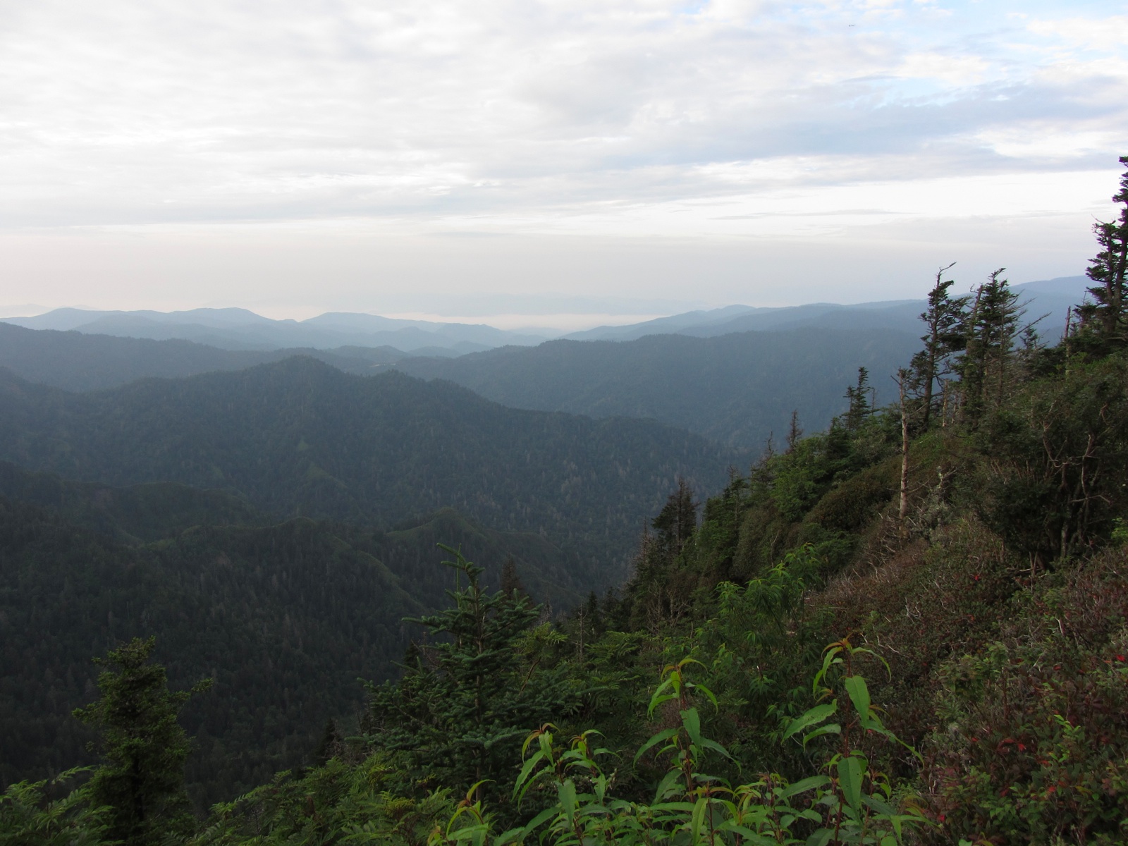 View From Myrtle Point Trail - 2