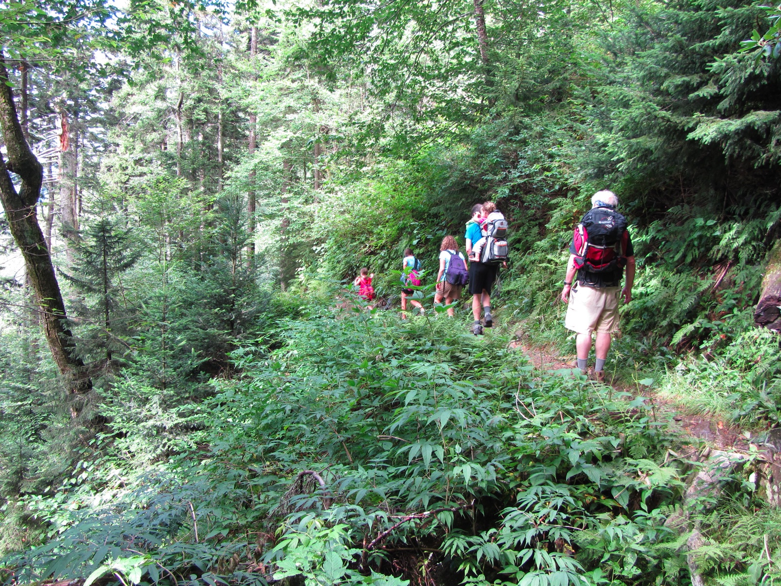 Walkers On The Alum Cave Trail