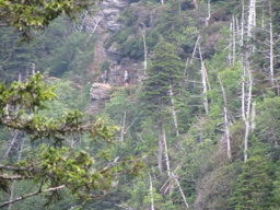 thumbnail of "Distant Hikers"
