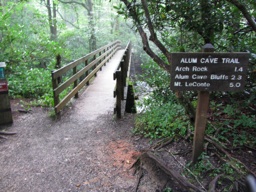 thumbnail of "First Bridge On Alum Cave Trail"