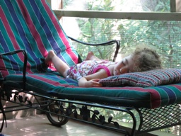 Thumbnail of Image- Izzy Napping On The Porch