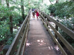 thumbnail of "Liz & Rachel Finish The Alum Cave Trail"
