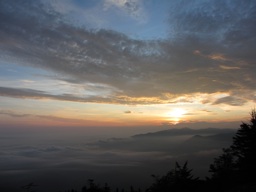 thumbnail of "Sunrise From Myrtle Point - 16"