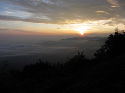 thumbnail of "Sunrise From Myrtle Point - 17"