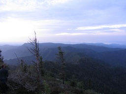 thumbnail of "View From Myrtle Point - 03"
