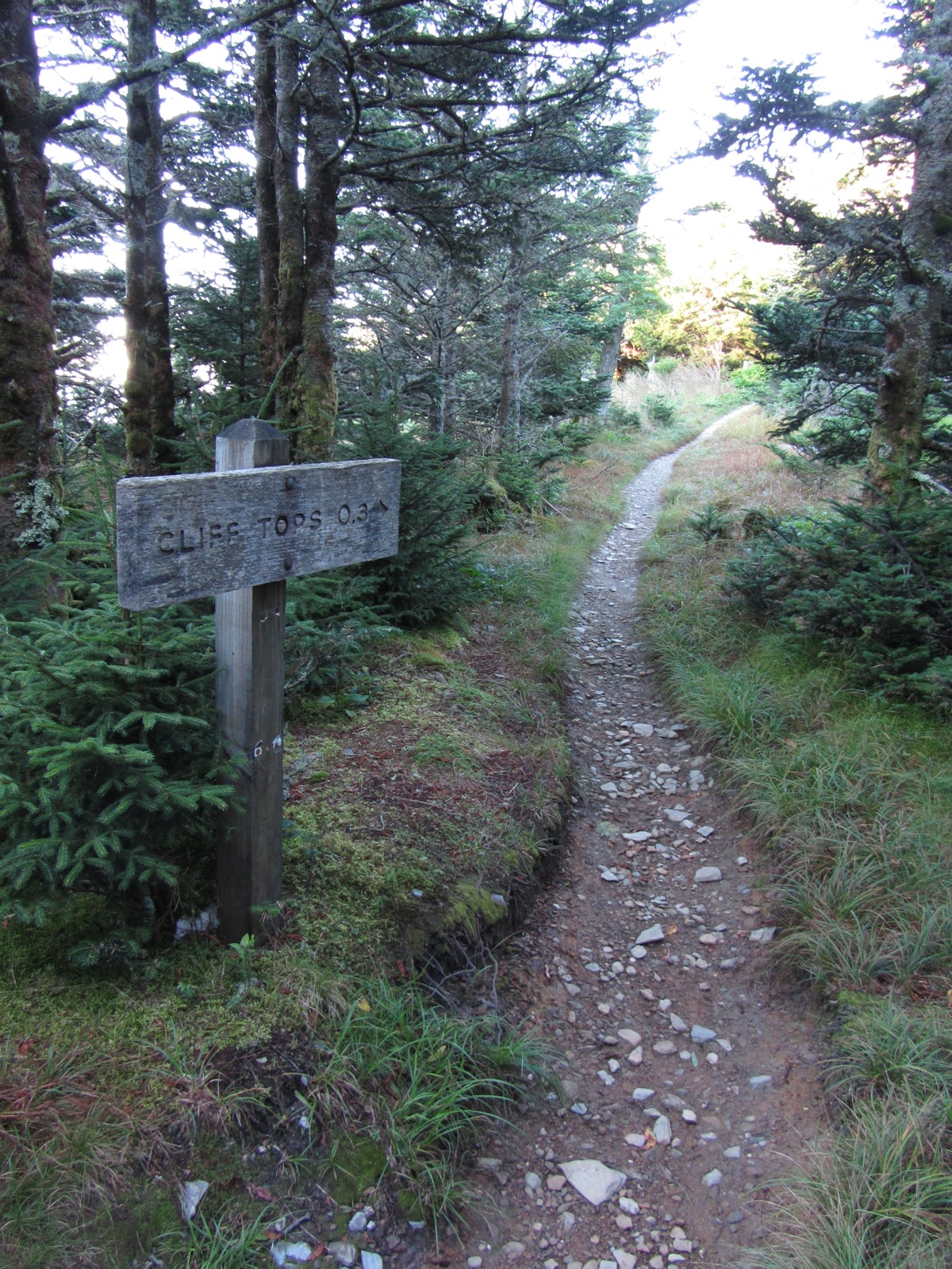 Cliff Top Trail - 1