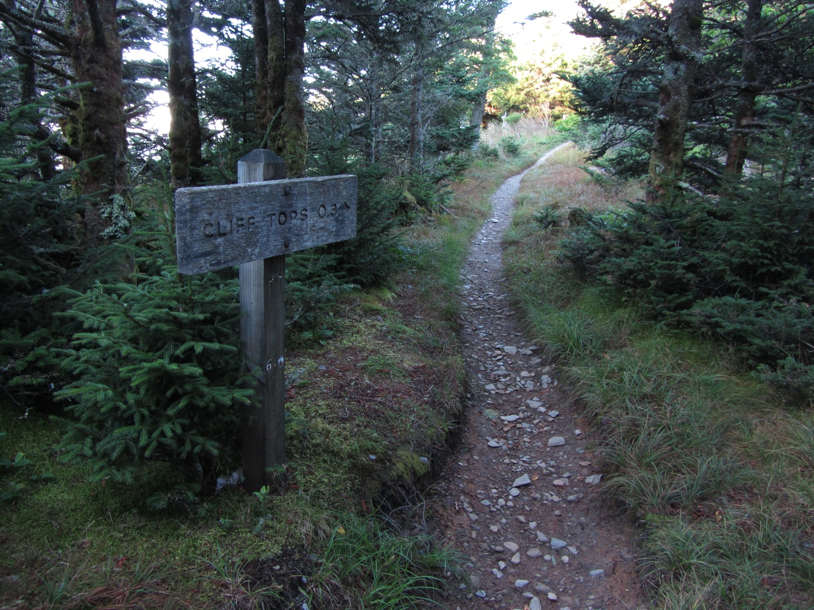 Cliff Top Trail - 2