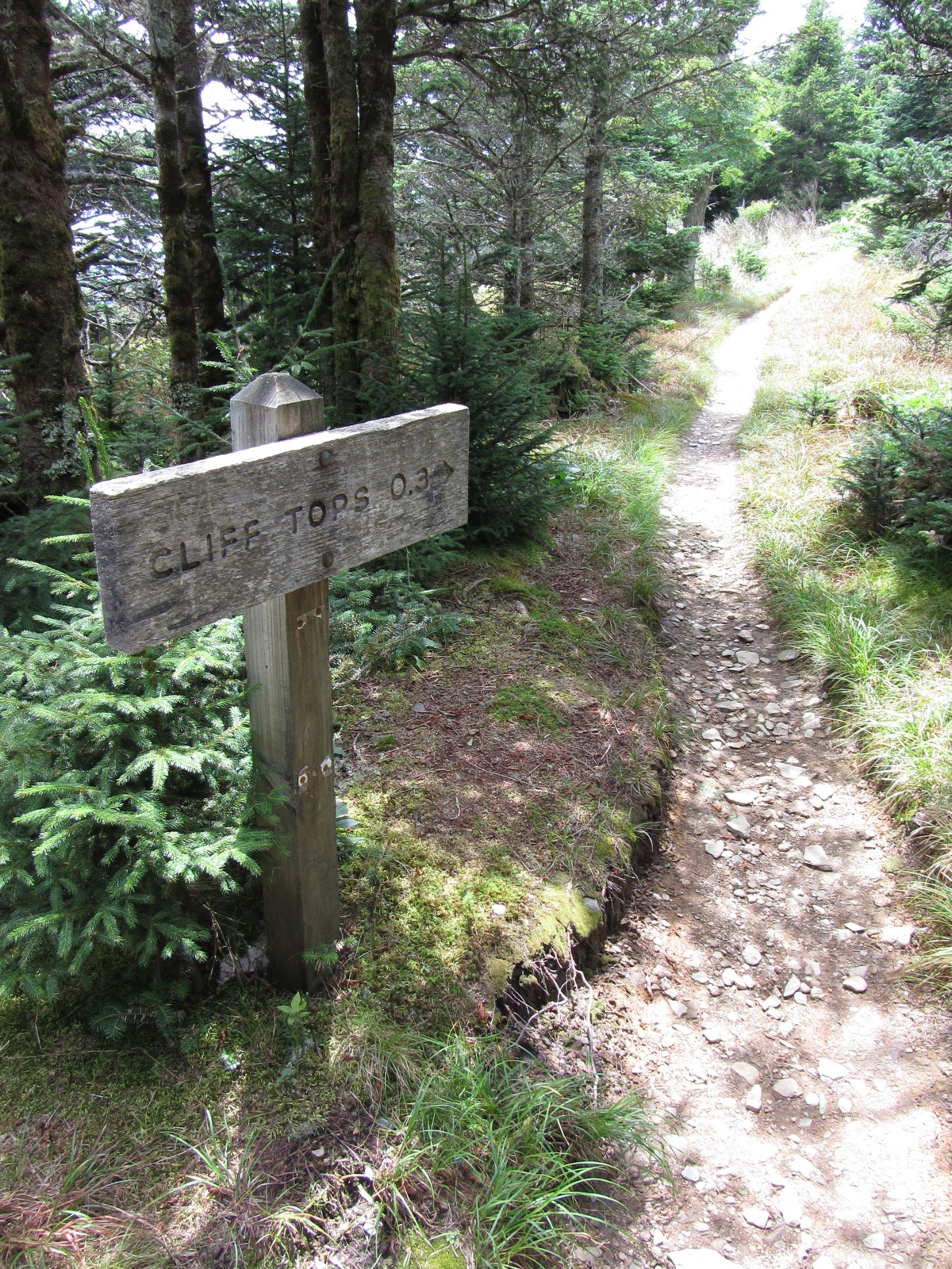 Cliff Top Trail - Saturday Afternoon