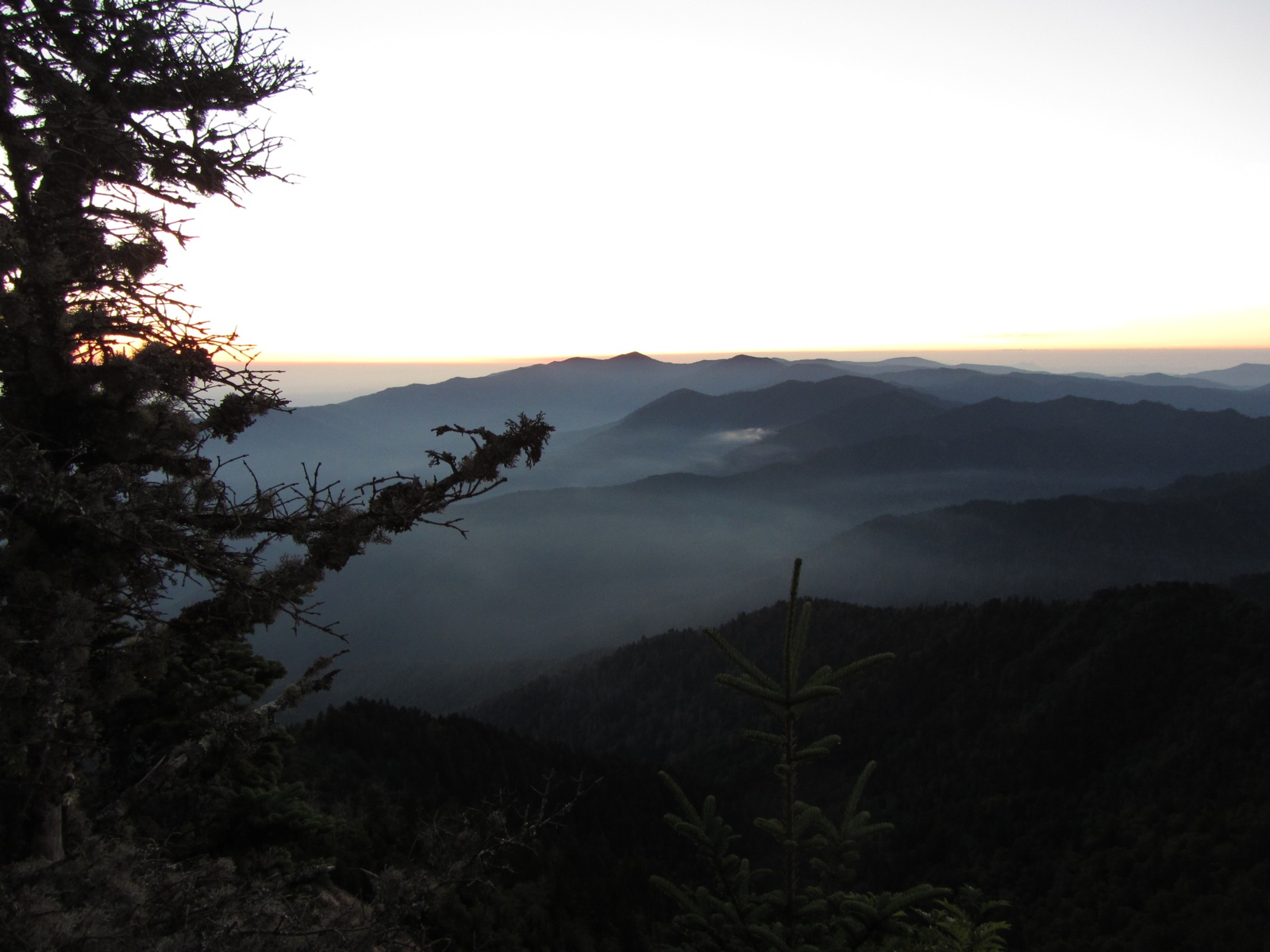 Dawn View From Myrtle Point - 2