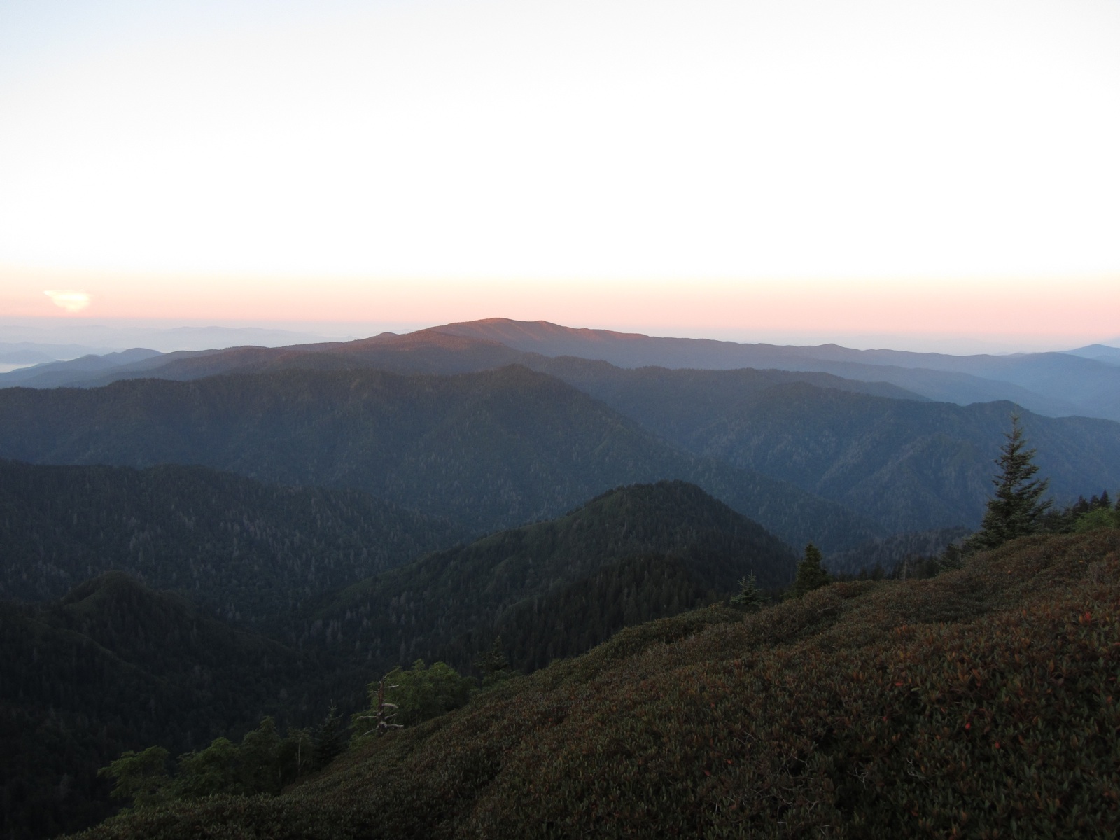 Dawn View From Myrtle Point - 4