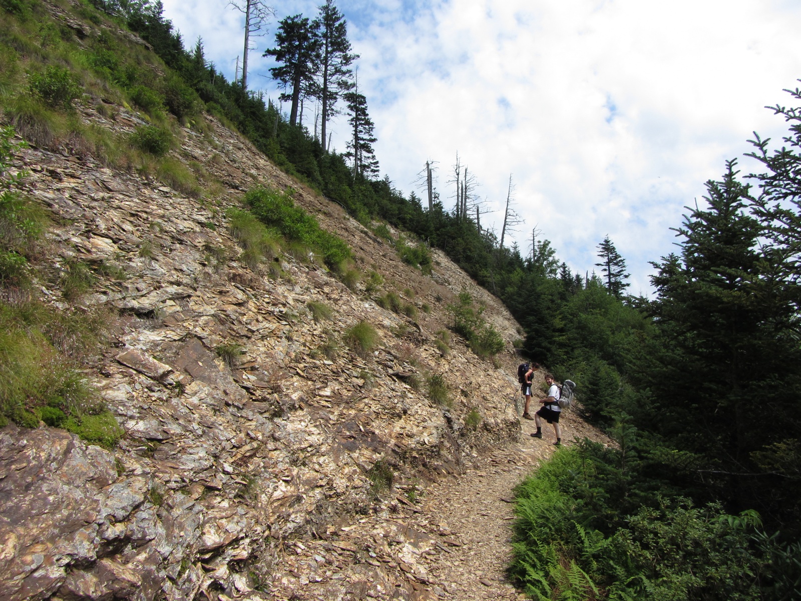 Exposed Section Of Boulevard Trail