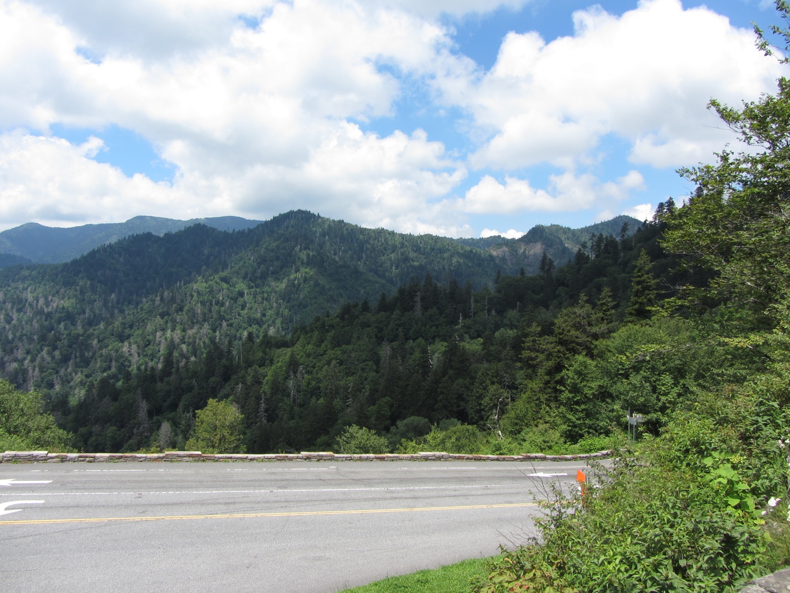 Looking Back At LeConte